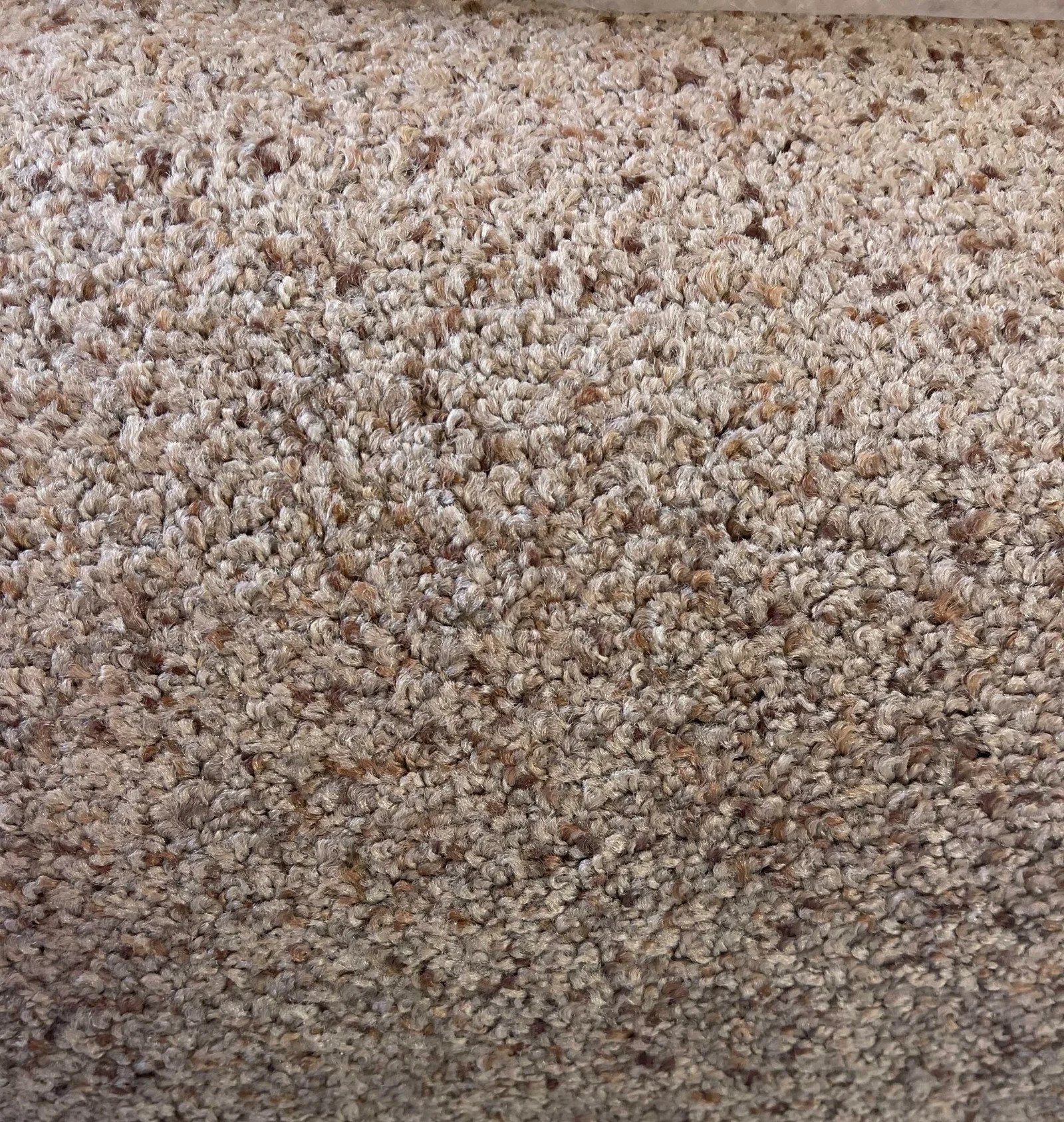 Plush carpet, 12×19′5″