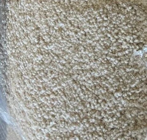 Beige plush carpet, 12×15′