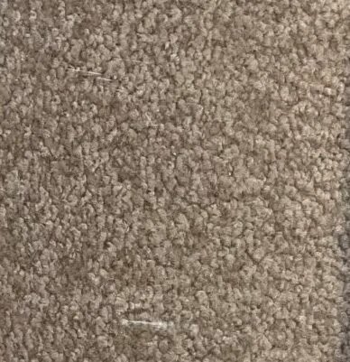 Brown plush carpet, 12×20′3″